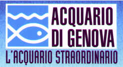 ACQUA.JPG (10081 byte)