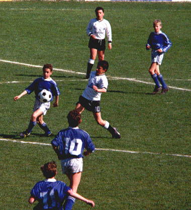 calcio.jpg (36334 byte)