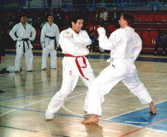 karate02.jpg (21450 byte)